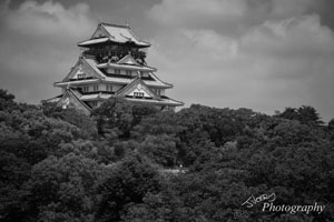 Osaka Castle